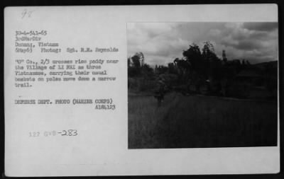 Thumbnail for Patrols > Patrols - 1965