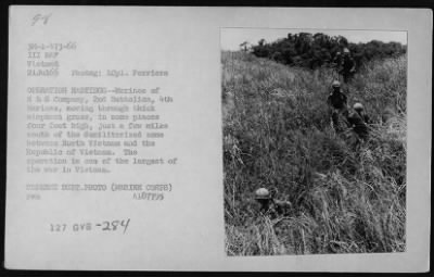 Thumbnail for Patrols > Patrols - 1966