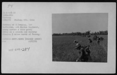 Thumbnail for Patrols > Patrols - 1966