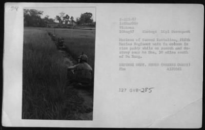 Thumbnail for Patrols > Patrols - 1967