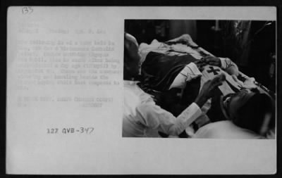 Thumbnail for Vietnamese Casualties > Vietnamese Casualties - 1967