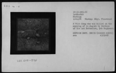 Thumbnail for Vietnamese Casualties > Vietnamese Casualties - 1966