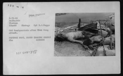 Thumbnail for Vietnamese Casualties > Vietnamese Casualties - 1968