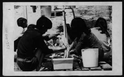 Thumbnail for Vietnamese Civilian Life > Vietnamese Refugees (in US)