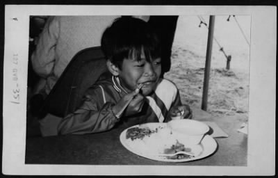 Thumbnail for Vietnamese Civilian Life > Vietnamese Refugees (in US)