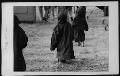 Thumbnail for Vietnamese Civilian Life > Vietnamese Refugees (in US)