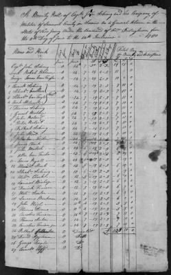 2nd Battalion of Somerset (1777-81) > 60