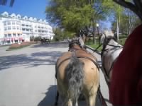 carriage tour.jpg