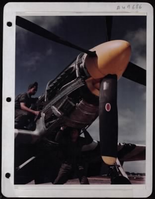 Thumbnail for General > Crew Chief Ssgt Gerald Bentley Of Gainesville, Texas, Inspects The Oil Lines On A North American P-51 At An 8Th Air Force Base Somewhere In England. Underneath Is Ass'T Maintenance Chief Tsgt Paul A. Fick Of Fremont, Ohio, Who Is Checking The Hydraulic Pu