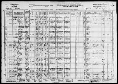 POLICE JURY WARD 2, LAMOURIE > 40-19