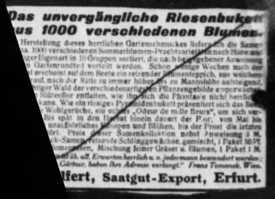 Old German Files, 1909-21 > Various (#151890)