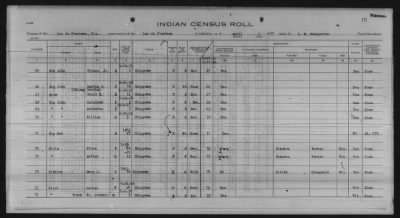 Thumbnail for Lac du Flambeau, Bad River, Lac Courte Oreilles, Red Cliff Chippewa, Potawatomi > 1933 - 1935