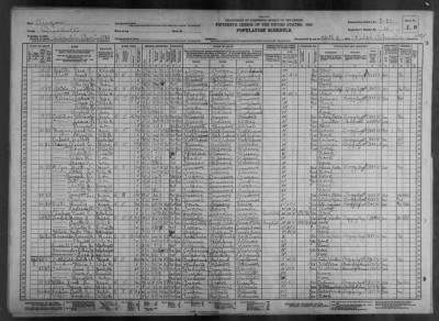 PCT 31, SHEVLIN > 9-31