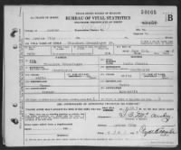Birth Certificate for Theodore Gremminger