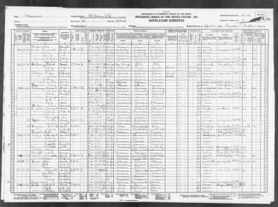 Thumbnail for ST LOUIS CITY, WARD 26 > 96-196