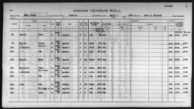 Thumbnail for Pima, Apache, Mohave-Apache of Camp Verde, Fort McDowell, and Salt River Reservations > 1932 - 1933