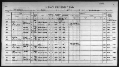 Thumbnail for Pima, Apache, Mohave-Apache of Camp Verde, Fort McDowell, and Salt River Reservations > 1932 - 1933