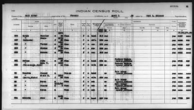 Thumbnail for Pima, Apache, Mohave-Apache of Camp Verde, Fort McDowell, and Salt River Reservations > 1932 - 1933