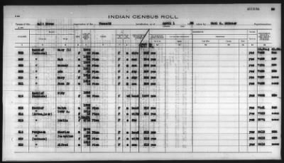 Thumbnail for Pima, Apache, Mohave-Apache of Camp Verde, Fort McDowell, and Salt River Reservations > 1932 - 1933