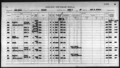 Thumbnail for Pima, Apache, Mohave-Apache of Camp Verde, Fort McDowell, and Salt River Reservations > 1932 - 1933