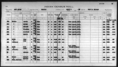 Thumbnail for Pima, Apache, Mohave-Apache of Camp Verde, Fort McDowell, and Salt River Reservations > 1932 - 1933