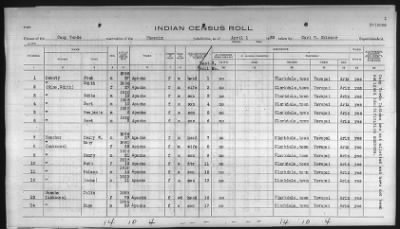 Thumbnail for Pima, Apache, Mohave-Apache of Camp Verde, Fort McDowell, and Salt River Reservations > 1932 - 1933