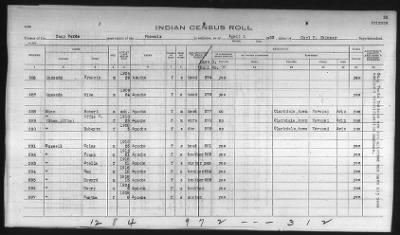 Thumbnail for Pima, Apache, Mohave-Apache of Camp Verde, Fort McDowell, and Salt River Reservations > 1932 - 1933