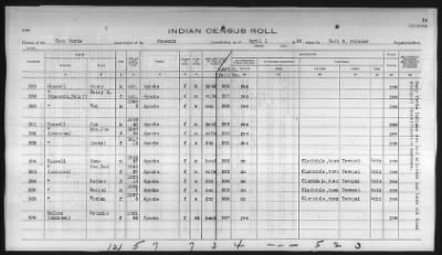 Thumbnail for Pima, Apache, Mohave-Apache of Camp Verde, Fort McDowell, and Salt River Reservations > 1932 - 1933