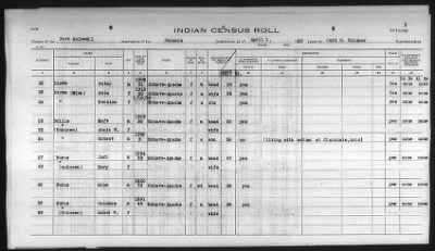 Thumbnail for Pima, Apache, Mohave-Apache of Camp Verde, Fort McDowell, and Salt River Reservations > 1932 - 1933