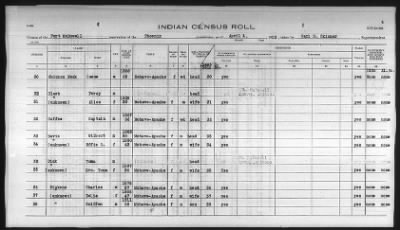 Thumbnail for Pima, Apache, Mohave-Apache of Camp Verde, Fort McDowell, and Salt River Reservations > 1932 - 1933