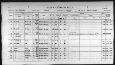 Thumbnail for Pima, Apache, Mohave-Apache of Camp Verde, Fort McDowell, and Salt River Reservations > 1932 - 1933