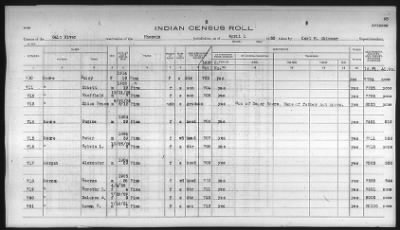 Thumbnail for Pima, Apache, Mohave-Apache of Camp Verde, Fort McDowell, and Salt River Reservations > 1932 - 1933