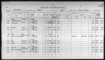 Thumbnail for Pima, Apache, Mohave-Apache of Camp Verde, Fort McDowell, and Salt River Reservations > 1932 - 1933