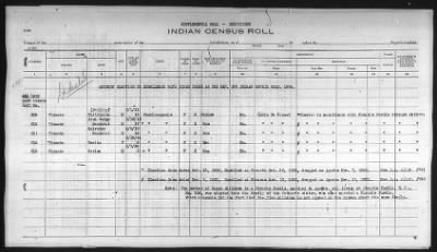 Thumbnail for Pima, Apache, Mohave-Apache of Camp Verde, Fort McDowell, and Salt River Reservations > 1932 - 1933