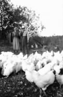 Thumbnail for Jess and Martha with chickens.jpg