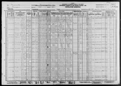 Thumbnail for MINNEAPOLIS CITY, WARD 13 > 27-247