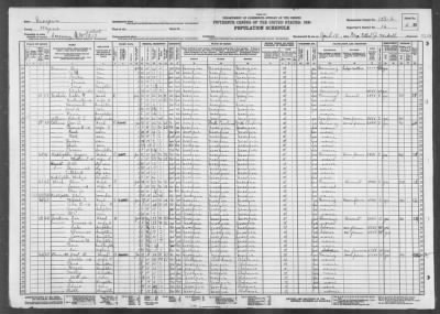 MILITIA DIST 1217, SCREVEN > 153-6