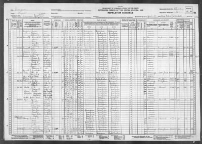 MILITIA DIST 1217, SCREVEN > 153-6