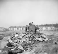 Thumbnail for Bergen_Belsen2.jpg