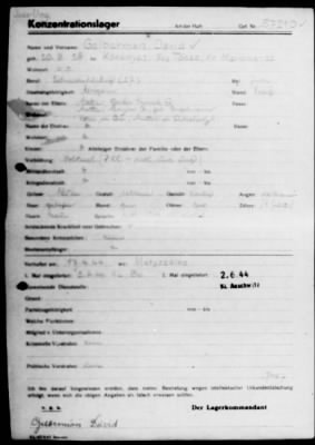 Camp Records - Inmate Cards > Records on Prisoners, Frys-Gert