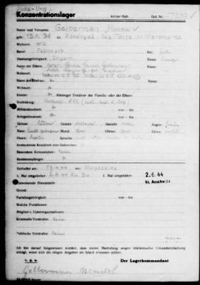 Camp Records - Inmate Cards > Records on Prisoners, Frys-Gert