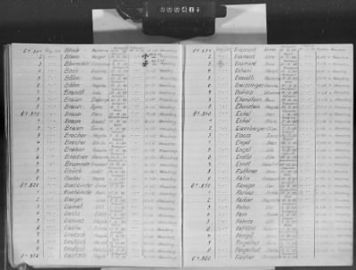 Flossenbürg Concentration Camp > Handwritten lists of inmates