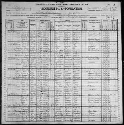 Thumbnail for City of Chicago, Twelfth Ward; 10th Pct > 338