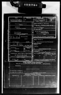 Thumbnail for Personnel Files and Identification Papers > Personnel cards of SS troops, lists of awards & promotions