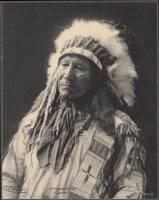 29 - Chief American Horse, Sioux