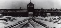 TrainTracksLeadingToAuschwitzConcentrationCamp.jpg