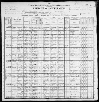 Thumbnail for City of Chicago, Thirty-First Ward; 3rd Pct > 956