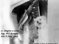 Thumbnail for Lt Shapiro's Little Dog "PFC Scrappy" KIA / 5 July'43