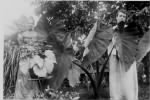 Thumbnail for Amelia Strauss &  Florence Morgan