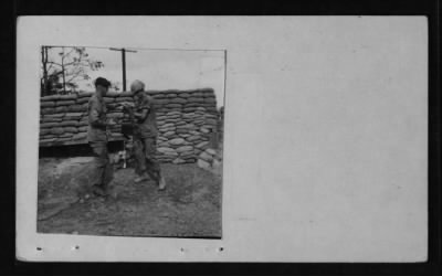 Thumbnail for Companies B and E / 3rd Battalion / 39th Infantry / 9th Infantry Division > CC43561